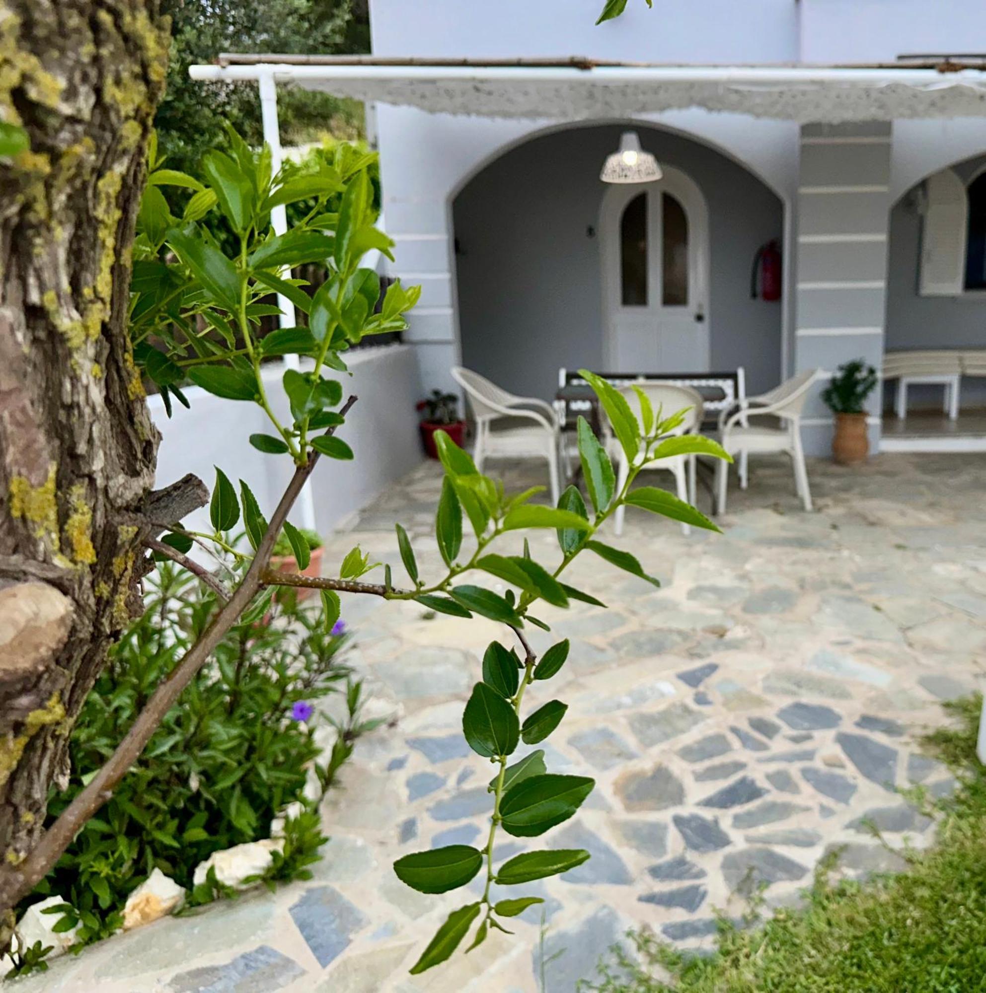 Eleana Apartments And Studios Agios Georgios Pagon Exterior foto